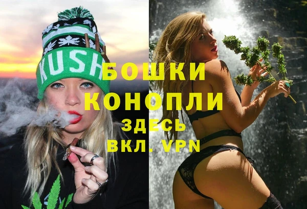 трава Аркадак
