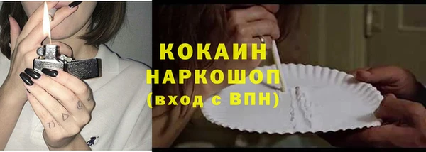 трава Аркадак