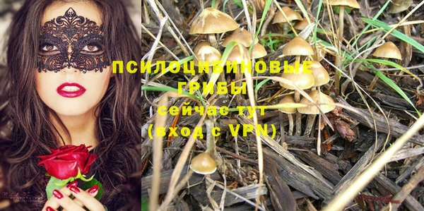 прущие крисы Армянск
